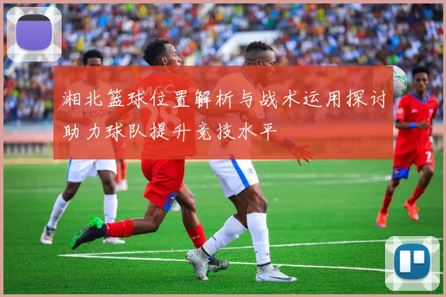 湘北篮球位置解析与战术运用探讨助力球队提升竞技水平