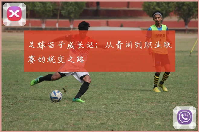 足球苗子成长记：从青训到职业联赛的蜕变之路
