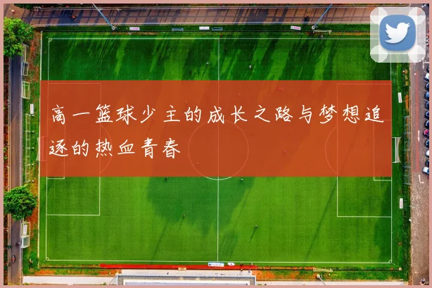 高一篮球少主的成长之路与梦想追逐的热血青春