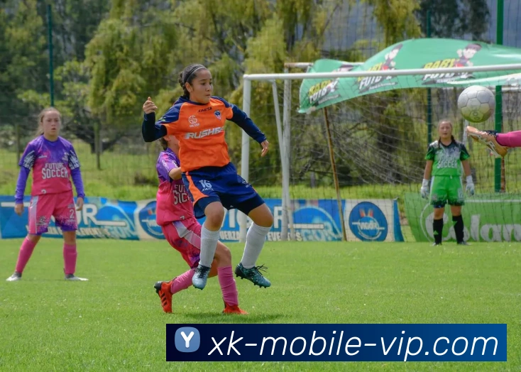 starsports平台生态图