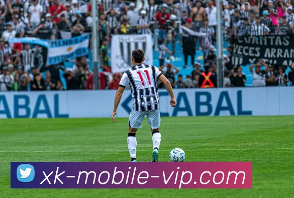 starsportsAPP 封面图